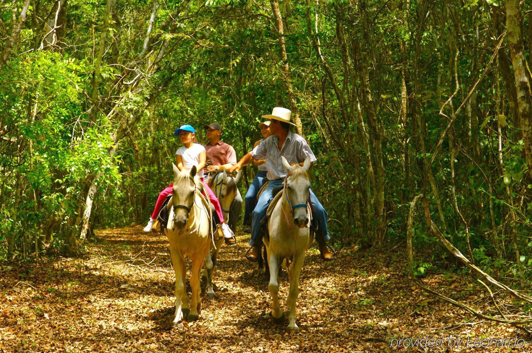 Windy Hill Resort San Ignacio Εξωτερικό φωτογραφία